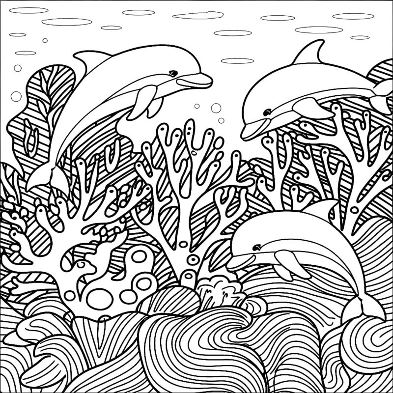 tranh tô màu con cá heo 8