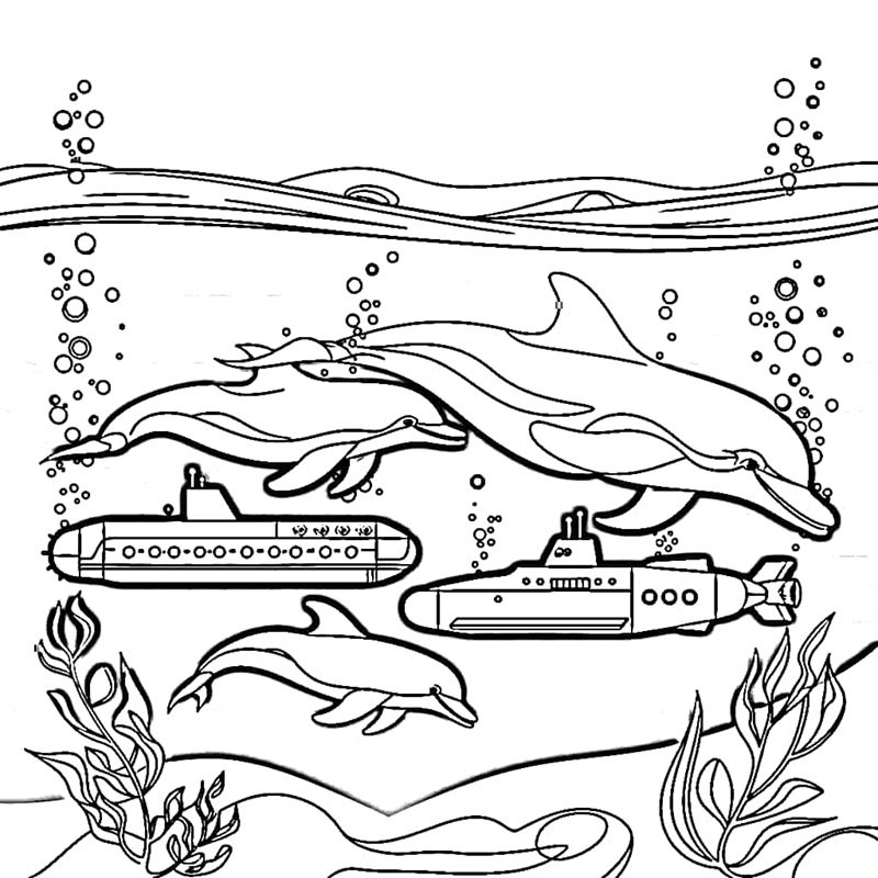 tranh tô màu con cá heo 9