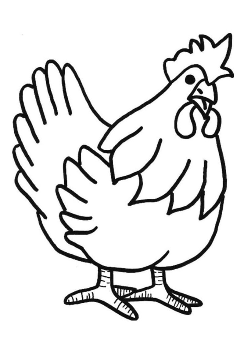 tranh tô màu con gà 15