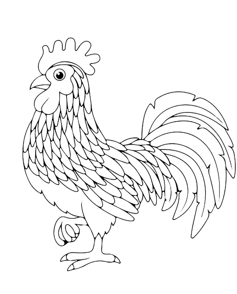 tranh tô màu con gà 26