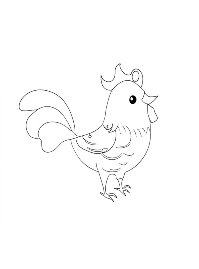 tranh tô màu con gà 27