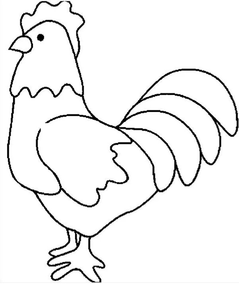 tranh tô màu con gà mái