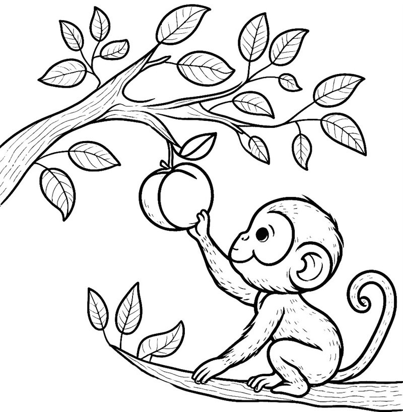 tranh tô màu con khỉ 22