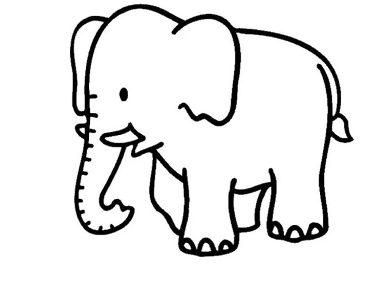 tranh tô màu con voi 32