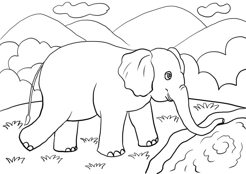 tranh tô màu con voi 33