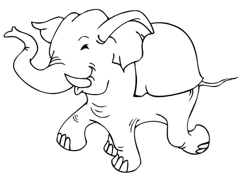 tranh tô màu con voi 8