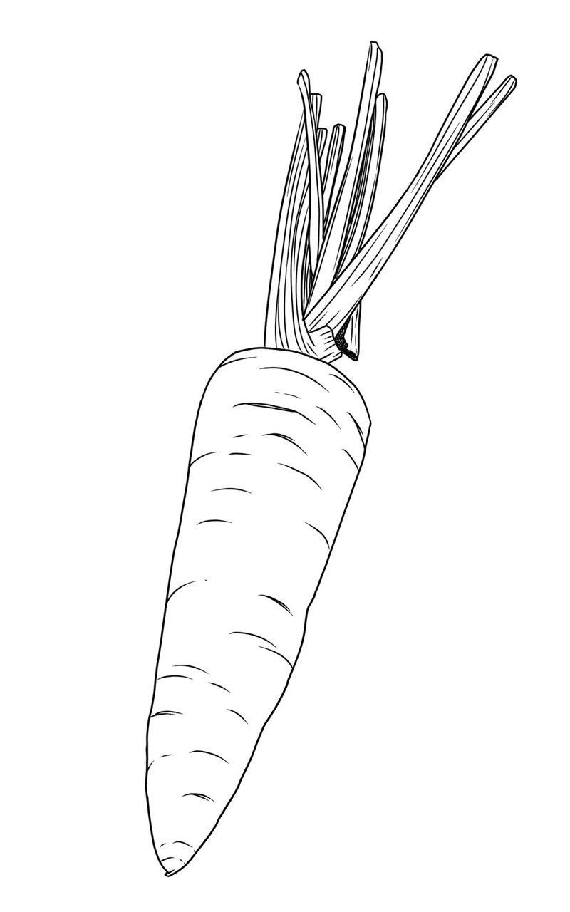 tranh tô màu củ cà rốt 16