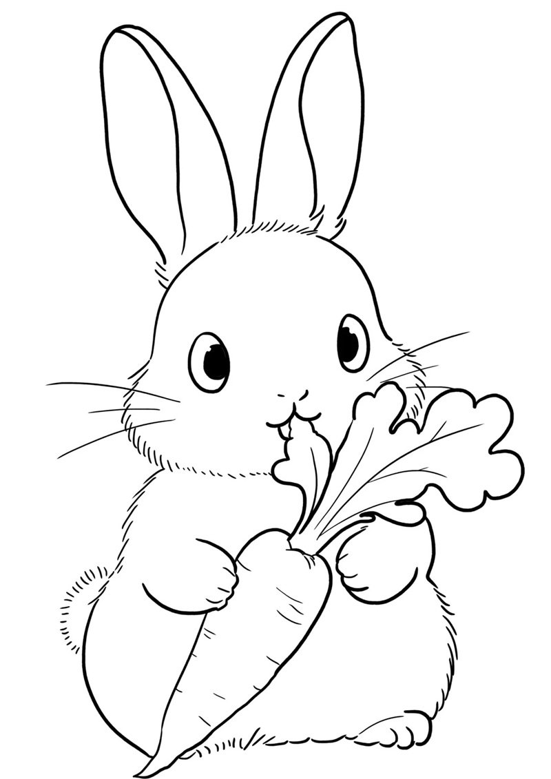 tranh tô màu củ cà rốt 24