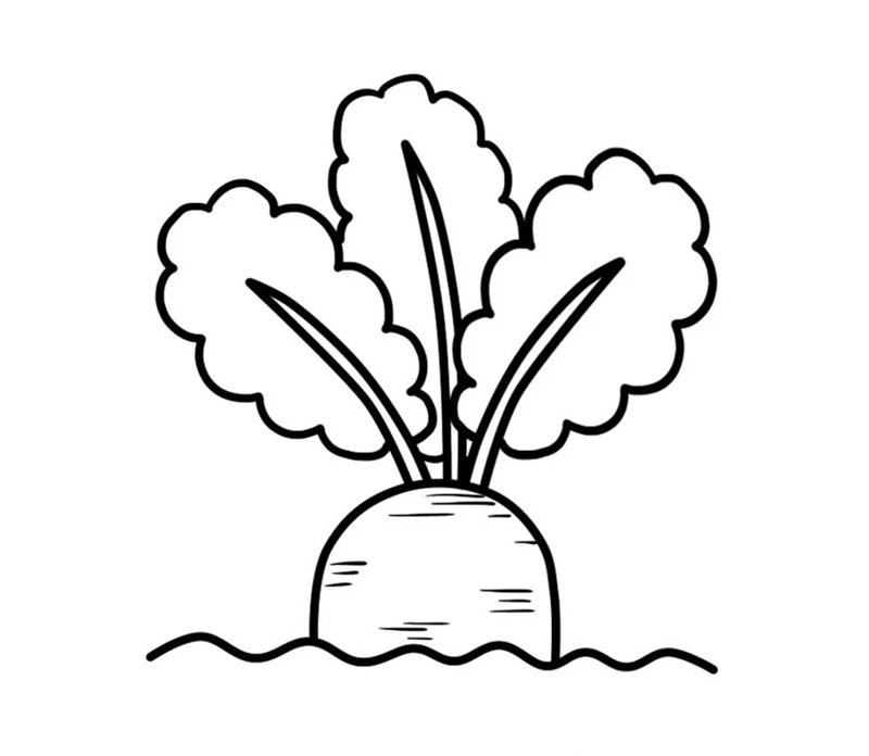 tranh tô màu củ cà rốt 32