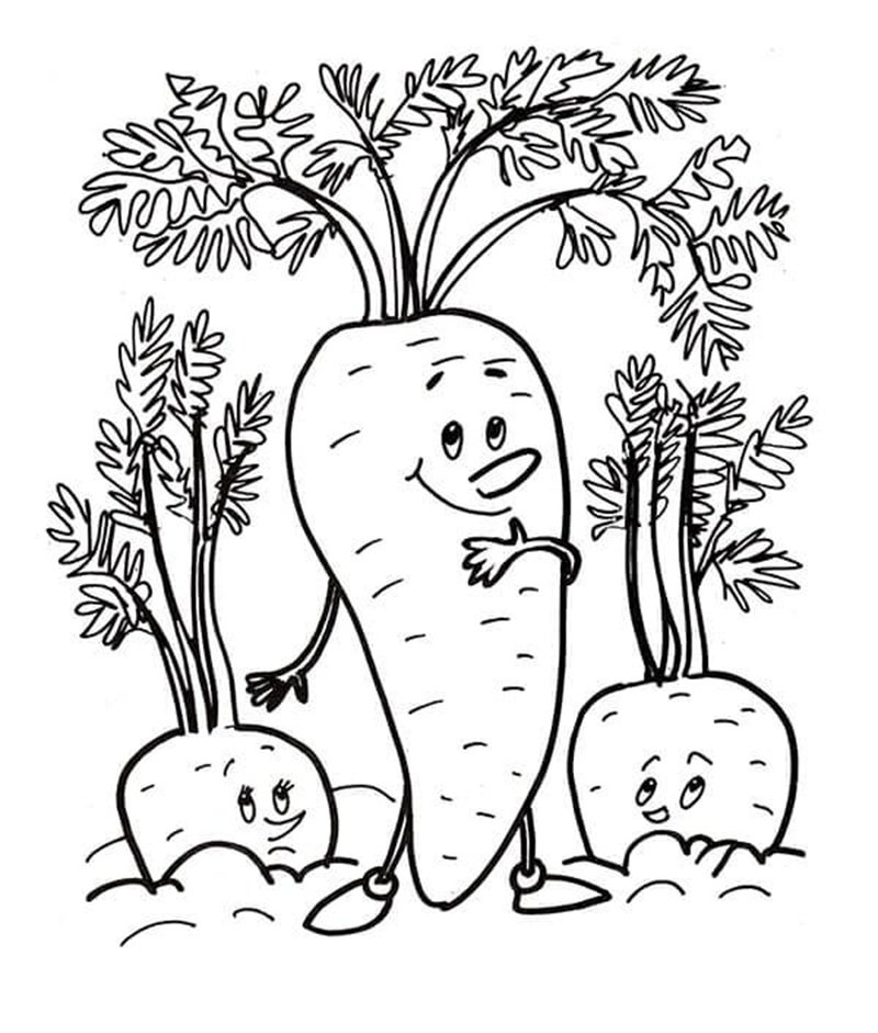 tranh tô màu củ cà rốt 6