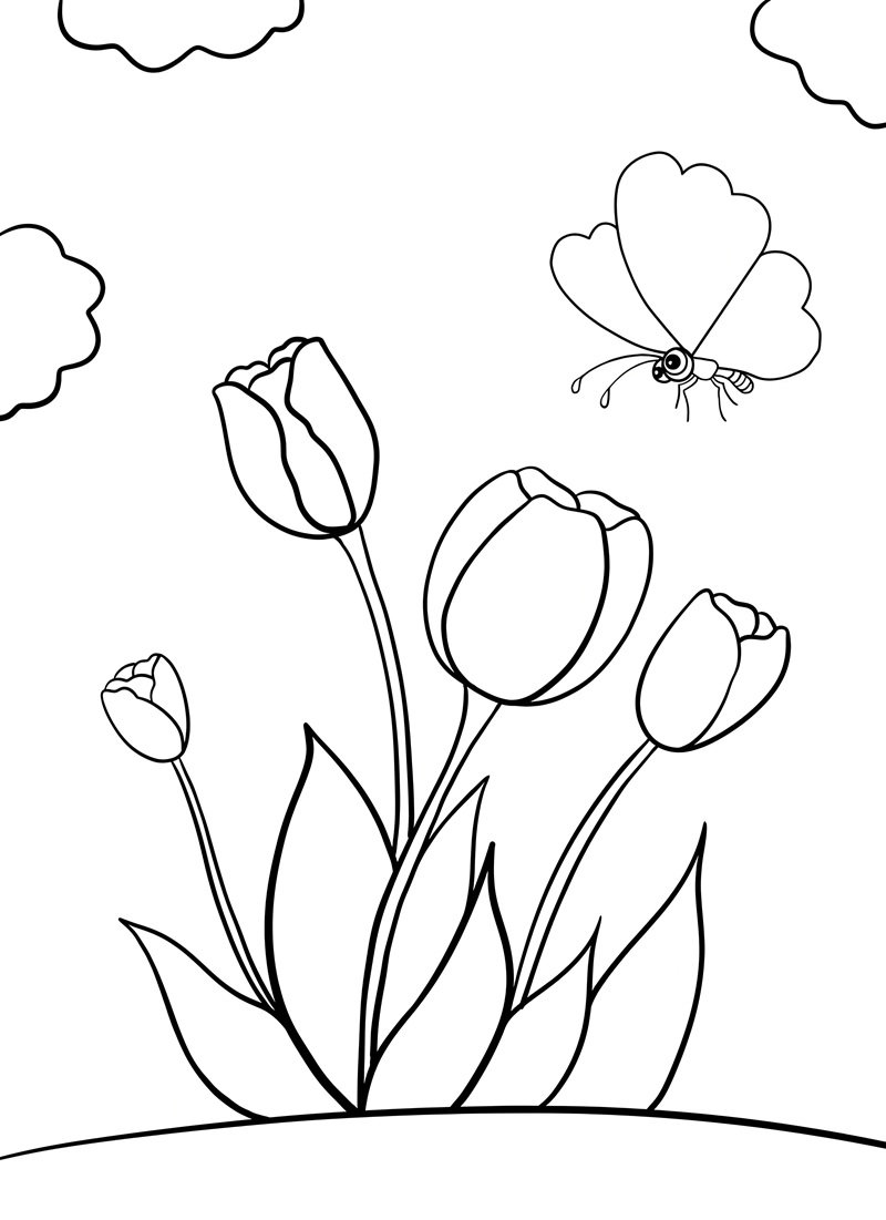 tranh tô màu hoa tulip 11