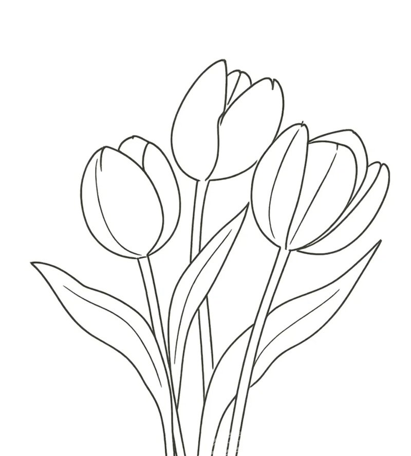 tranh tô màu hoa tulip 27