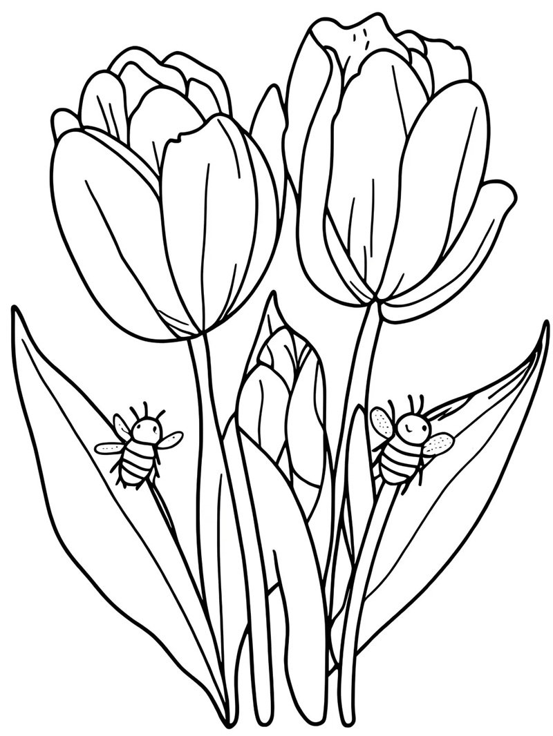 tranh tô màu hoa tulip 34