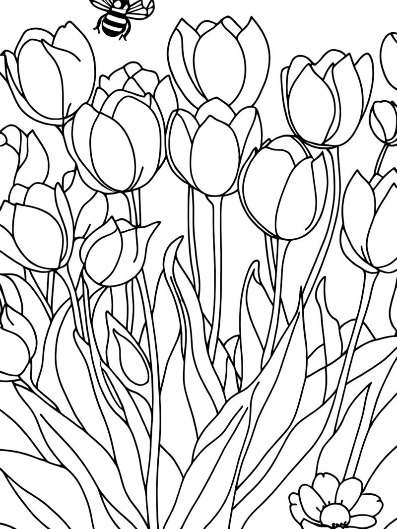tranh tô màu hoa tulip 37