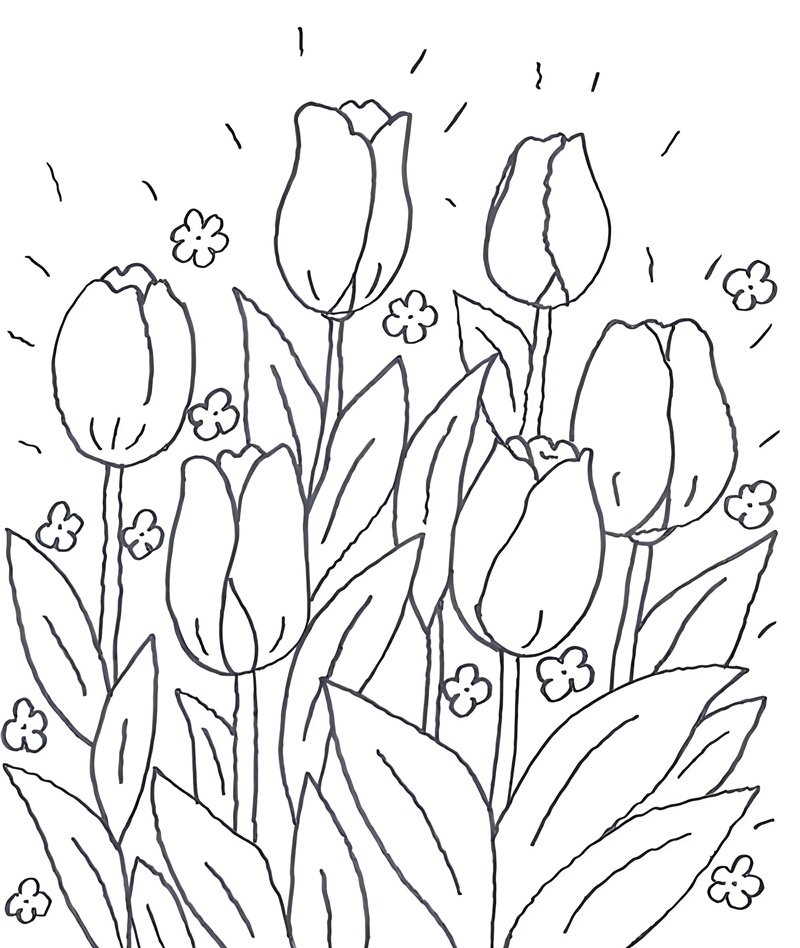 tranh tô màu hoa tulip 7