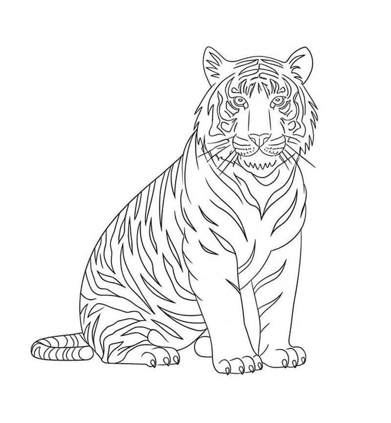 con hổ tô màu 17