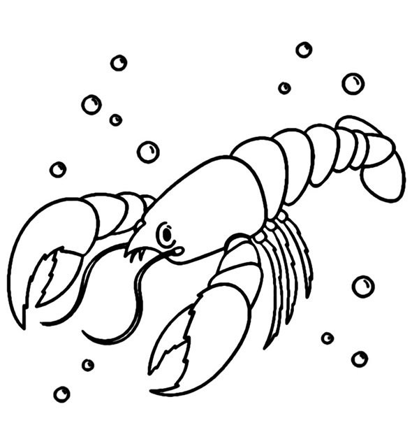 con tôm tô màu 11