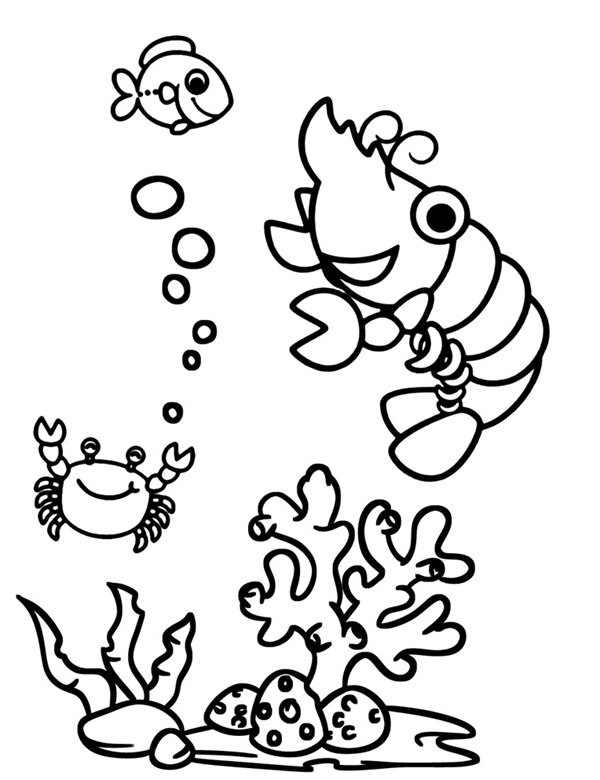 con tôm tô màu 13