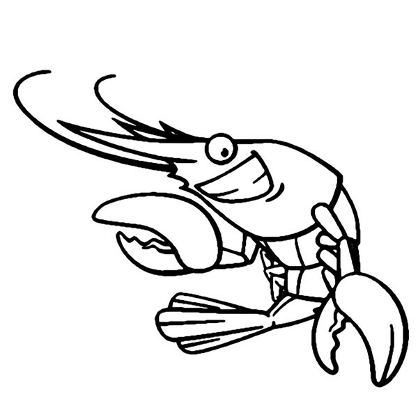 con tôm tô màu 14