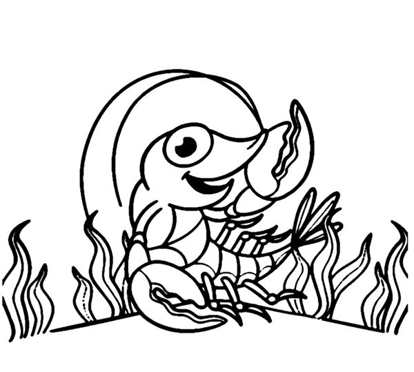 con tôm tô màu 16