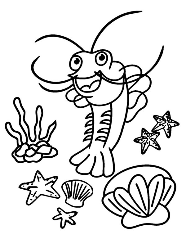 con tôm tô màu 18