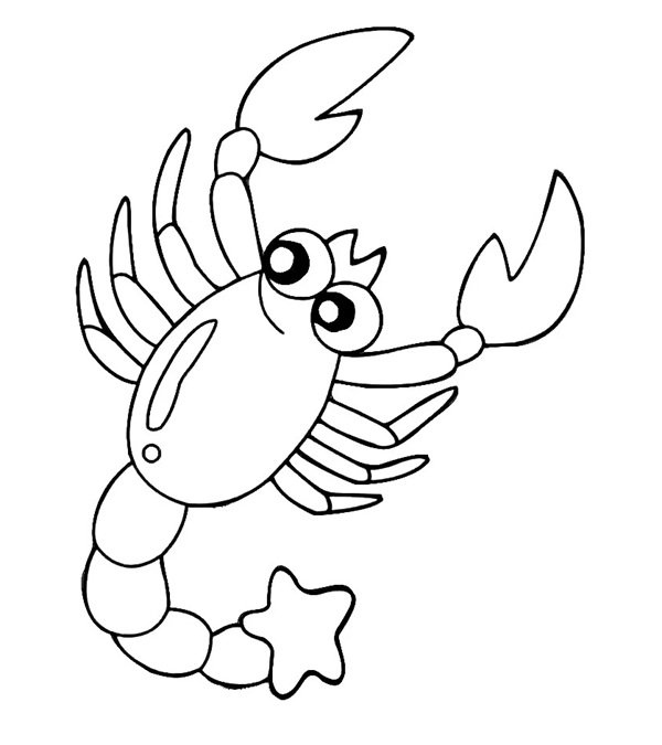 con tôm tô màu 24