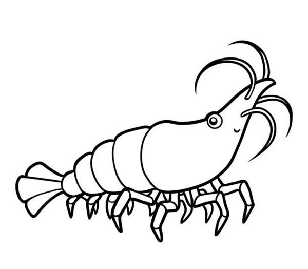 Coloring book for children, cartoon animal Shrimp