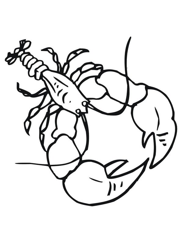 con tôm tô màu 30