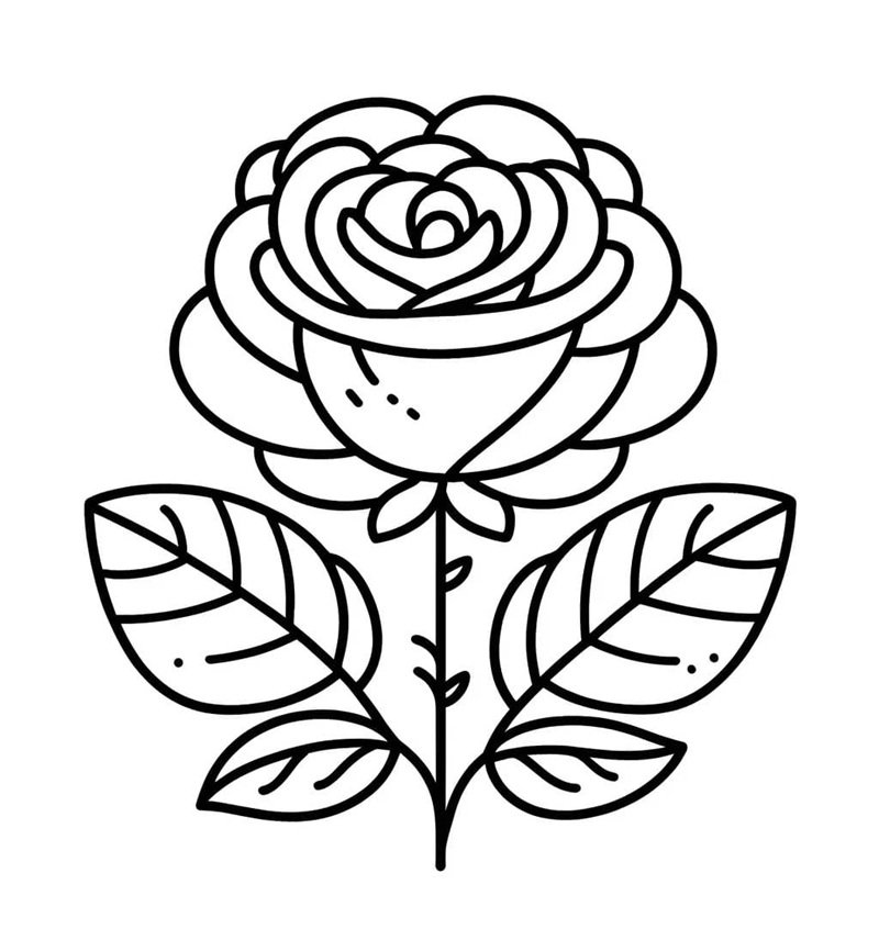 hoa hồng tô màu 10