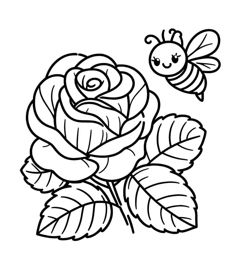 hoa hồng tô màu 16
