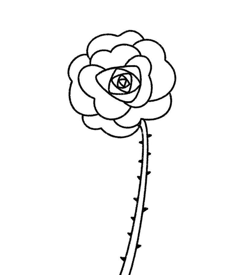 hoa hồng tô màu 19