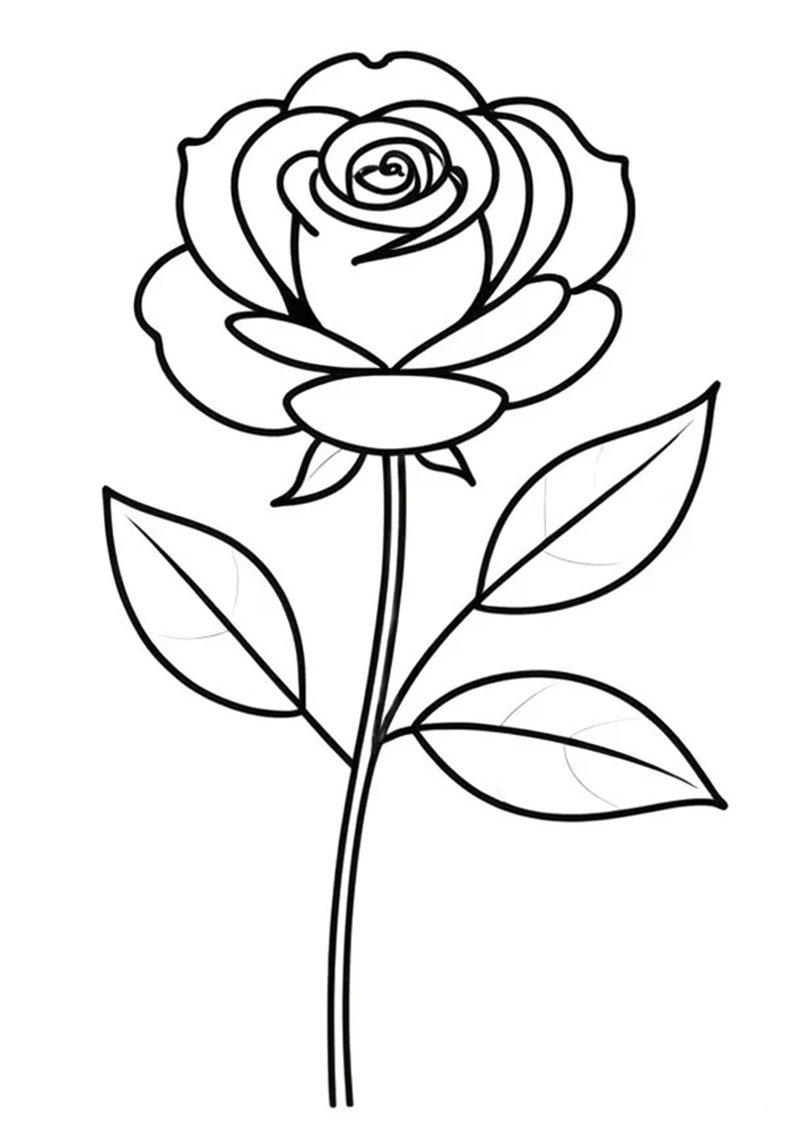 hoa hồng tô màu 20