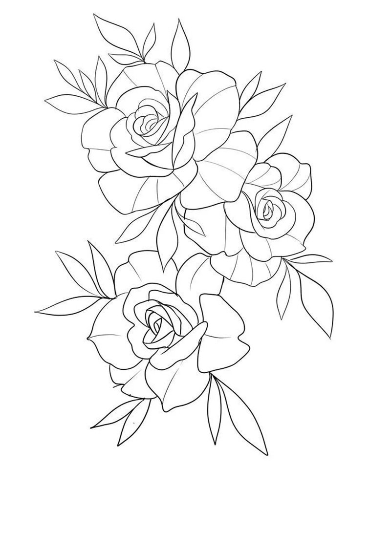 hoa hồng tô màu 24