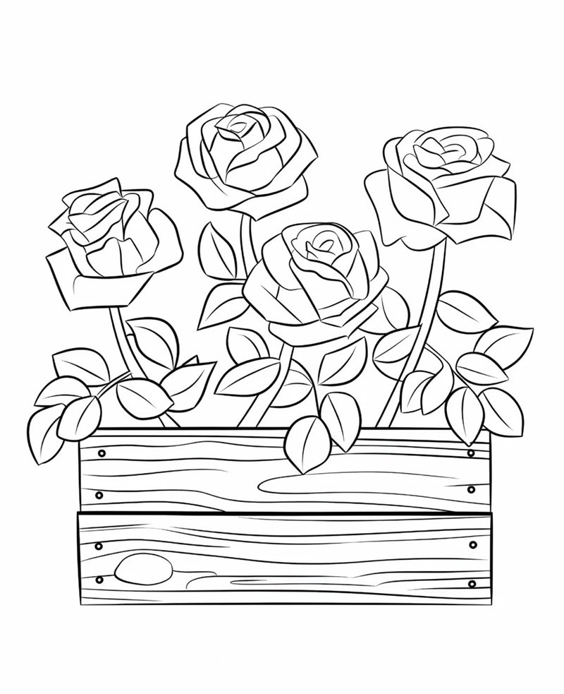 hoa hồng tô màu 27