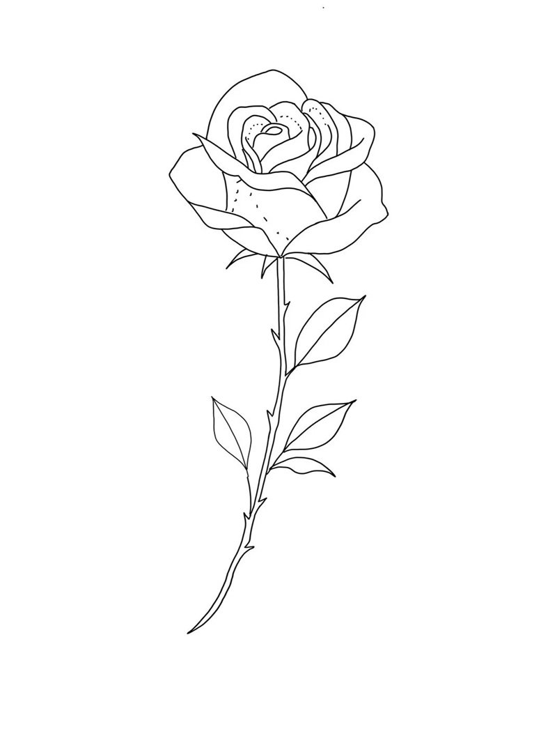 hoa hồng tô màu 39