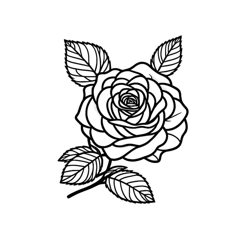 hoa hồng tô màu 42