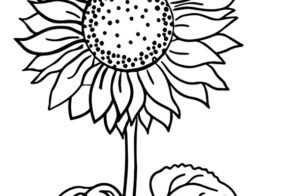 Tuyển tập 90+ hoa hướng dương tô màu siêu xinh, dễ tải