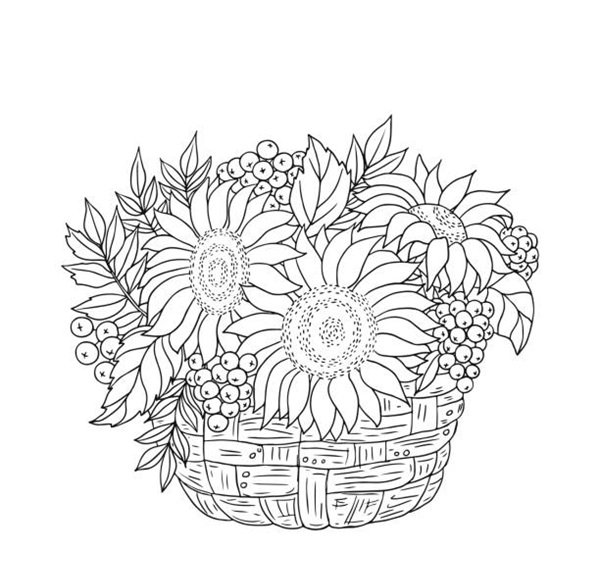 hoa hướng dương tô màu 14