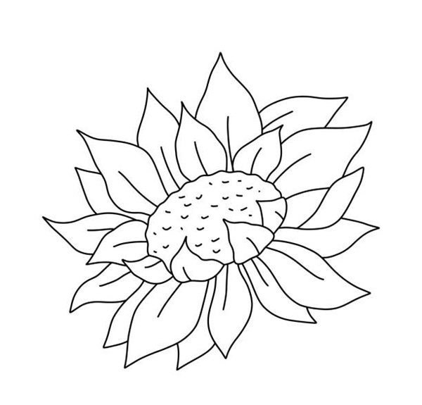 hoa hướng dương tô màu 18