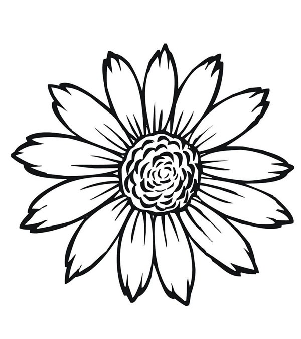 hoa hướng dương tô màu 2