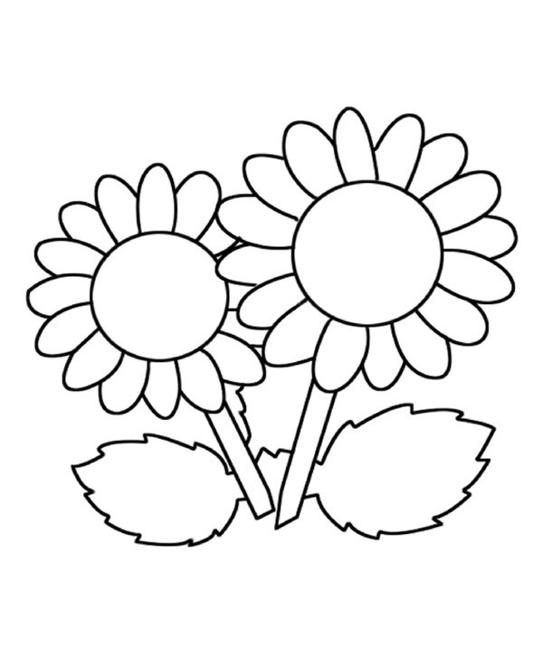 hoa hướng dương tô màu 26