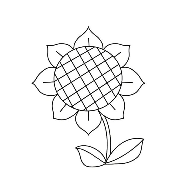 hoa hướng dương tô màu 29