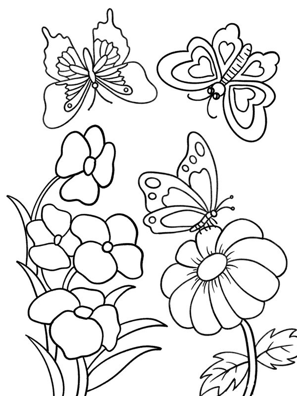 hoa hướng dương tô màu 31