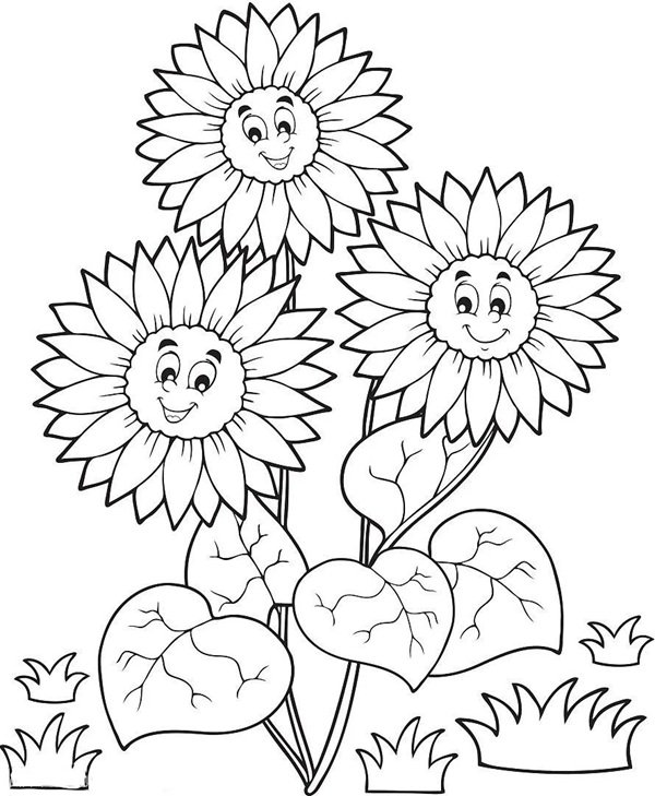 hoa hướng dương tô màu 32