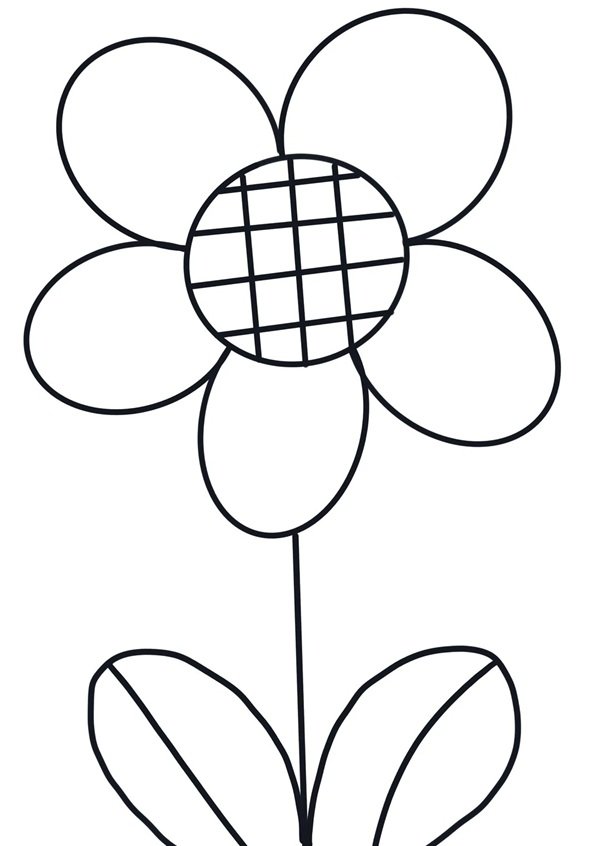 hoa hướng dương tô màu 34
