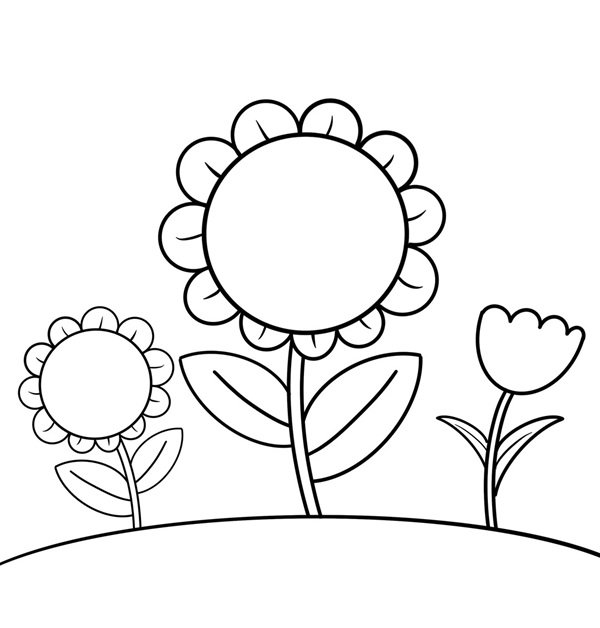 hoa hướng dương tô màu 36