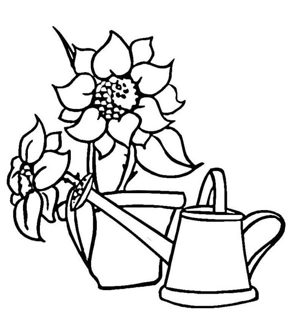 hoa hướng dương tô màu 4