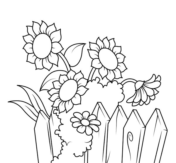 hoa hướng dương tô màu 7