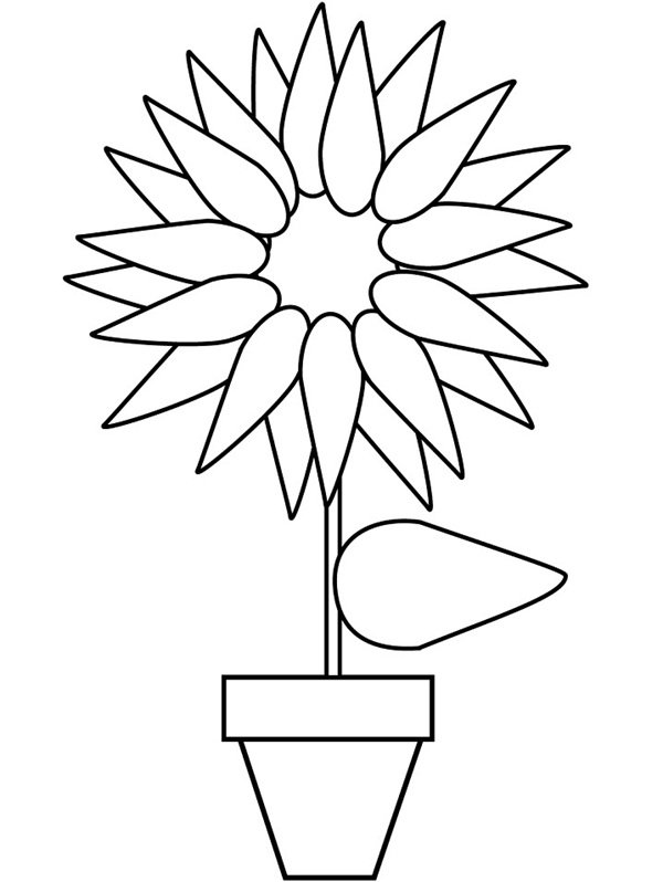 hoa hướng dương tô màu 8