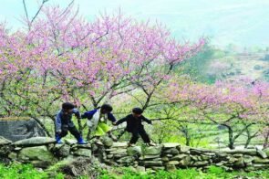 Ảnh Du Lịch – Bí Quyết Chụp Và Kể Chuyện Bằng Hình Ảnh